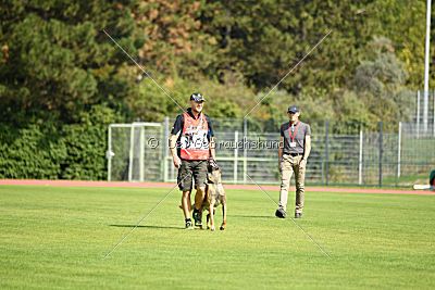Aramis Red Devils Dog