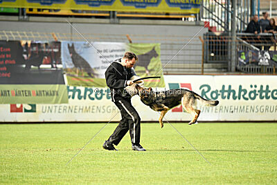 Arcela vom Wehrdener Schlosspark