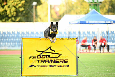 Ares spod Cerenca