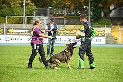Ares vom Clan der Saalerer Wölfe