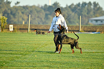 Ares von Misnia
