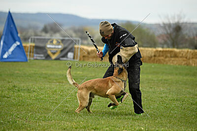 Ari von der Lilienwiese