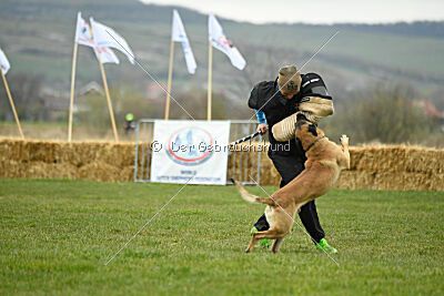 Ari von der Lilienwiese