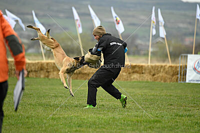 Ari von der Lilienwiese