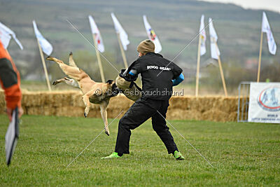 Ari von der Lilienwiese