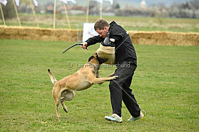 Ari von der Lilienwiese