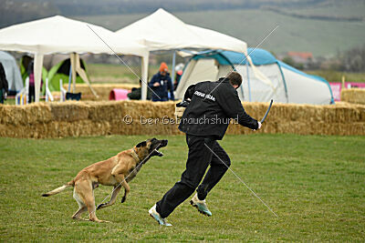 Ari von der Lilienwiese