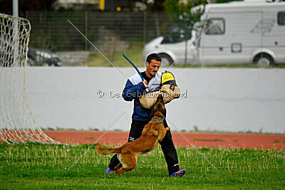 Aria Zeus Slovakia