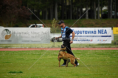 Aria Zeus Slovakia