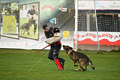 Arik von der Snively Haus