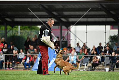 Arizona von den Heilstätten