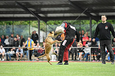 Arizona von den Heilstätten