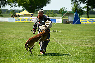 Arjen ex mera passio