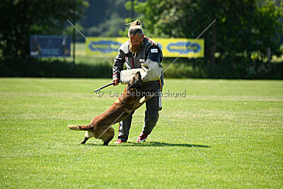 Arjen ex mera passio