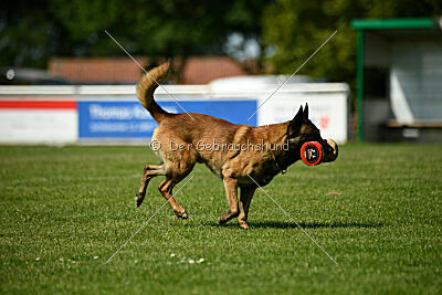 Arjen ex mera passio