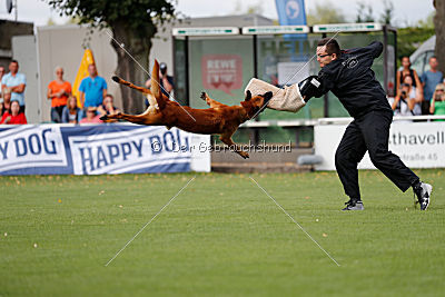 Arkan von der schwarzen Mamba