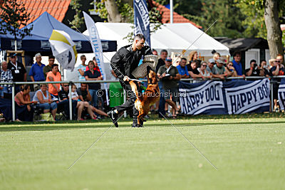 Arkan von der schwarzen Mamba