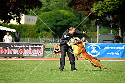 Arkan von der schwarzen Mamba