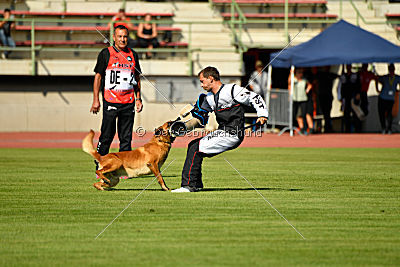 Arkan von der schwarzen Mamba
