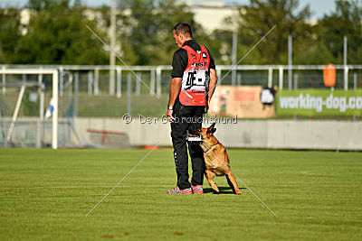 Arkan von der schwarzen Mamba