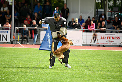 Armstrong Free to Fly