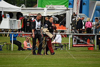 Aron Primus Proeliator