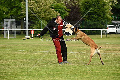 Aron Primus Proeliator