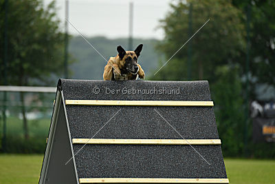 Aron Primus Proeliator