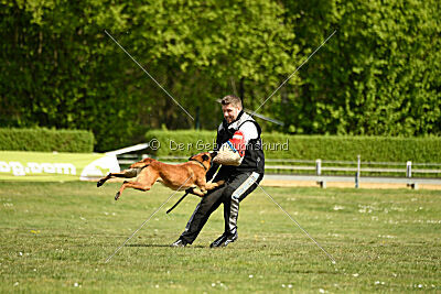 Arthos vom Feldbrand
