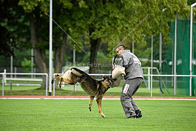 Arthur vom Tiefgestade