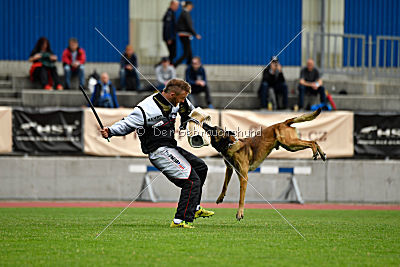 As'Thor Force Canina