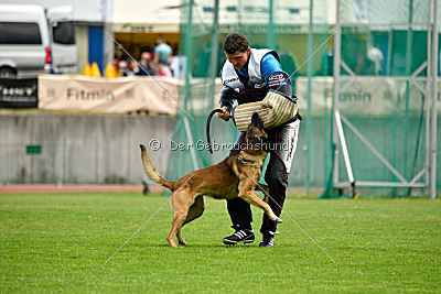 As'Thor Force Canina