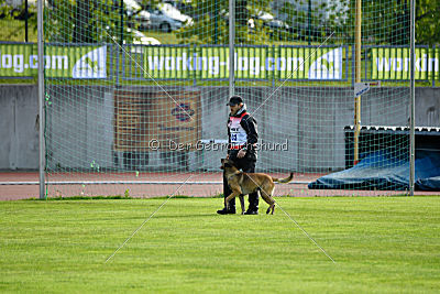 As'Thor Force Canina