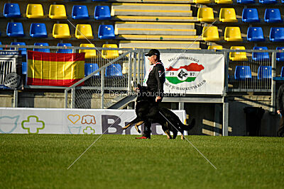 Asko von der Siegermacht