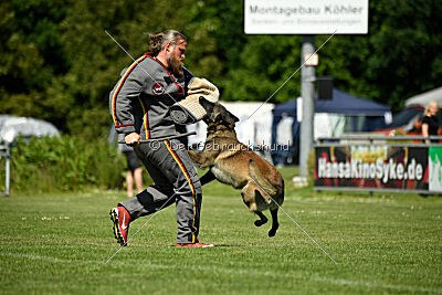 Aslan vom Sudwalder Forst
