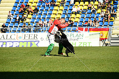 Athos Giovepluvio