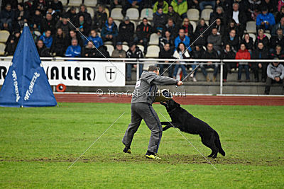 Atos vom Alpaland