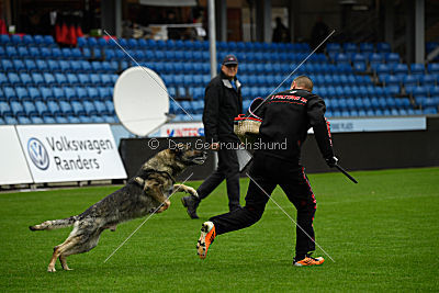 Attaque von Haus Pixner