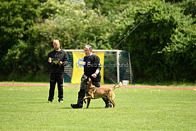 Atze vom Heidländer Wappen