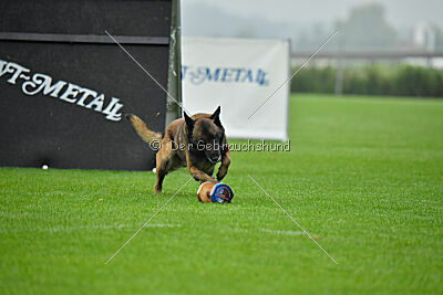 Atze vom Heidländer Wappen