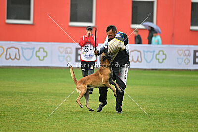 Avenger de Fontemordant