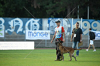 Avenger de Fontemordant