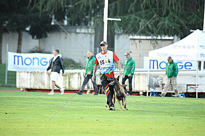 Avenger de Fontemordant