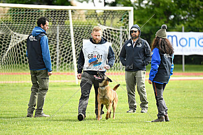 Avonwolf Gunnar