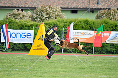 Avonwolf Gunnar