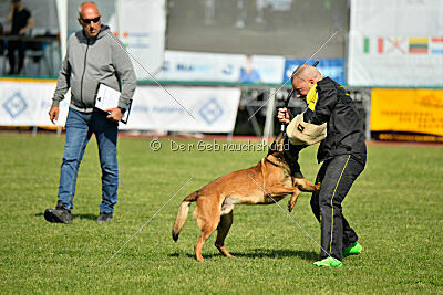 Avonwolf Gunnar