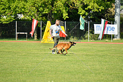Avonwolf Gunnar