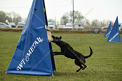 Ayumi vom Scheinwerferberg