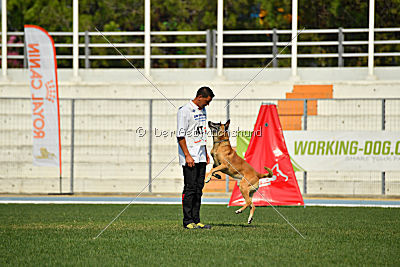 Bagdad vom Clan der Wölfe