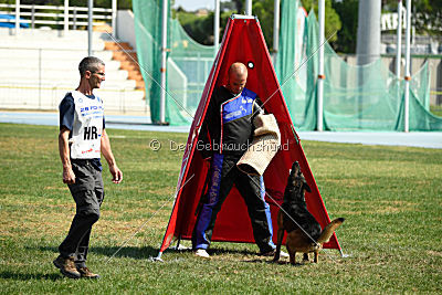 Bak Malinois of Sprajc